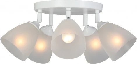 Потолочная люстра Vitaluce V4355-0/5PL (220V)