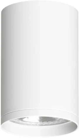 Накладной точечный светильник Denkirs DK2000 DK2050-WH (220V, круглые)