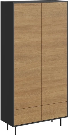 Шкаф 2-дверный Look ОГОГО (арт.843403), (ЛДСП/Черный)