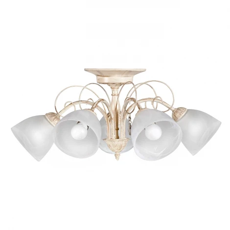 Потолочная люстра Day&Night S9113-5