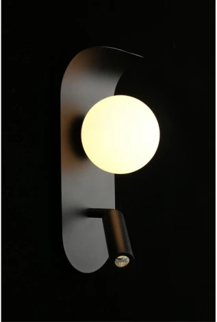 Настенный светильник LED Aployt Zofka APL.345.01.02 (220V, шар)