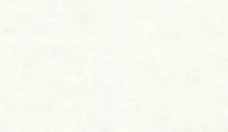 Обои виниловые Lutece Jardin D'eden 51203006 10,05 x 0,53 м