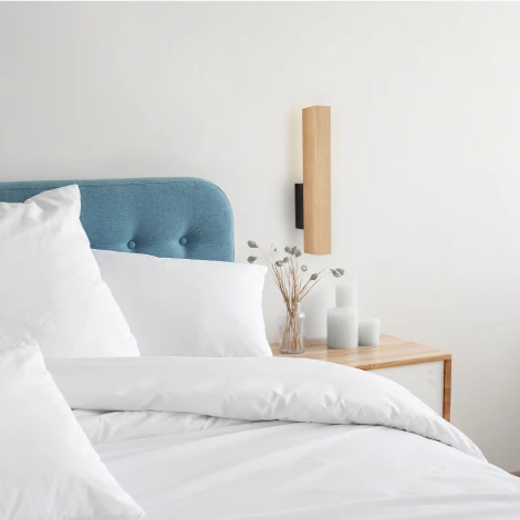 Настенный светильник светодиодный TK Lighting Teo 6618