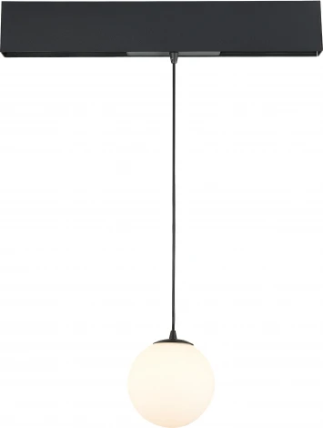 Трековый светодиодный светильник для магнитного шинопровода 10Вт Donolux Bubble DL18794WW10BSDim (24V, шар)