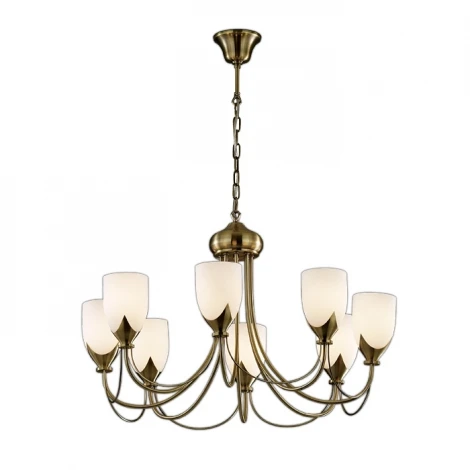Подвесная люстра Odeon Light Risto 2079/8
