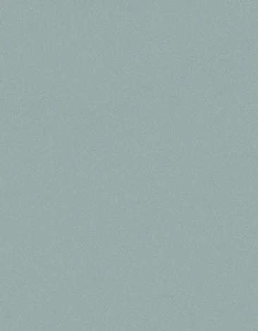 Обои виниловые Marburg New Spirit 32726 10,05 x 0,53 м