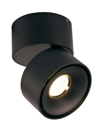 Накладной точечный светильник DesignLed WL T003112-MZ-12-BL-WW