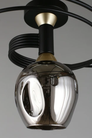 Потолочная люстра на штанге Aployt Flor APL.611.17.06 (220V, шарики)