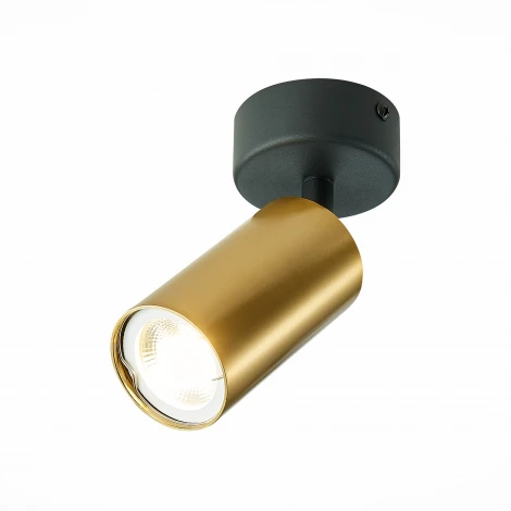 Спот ST Luce St303 ST303.202.01