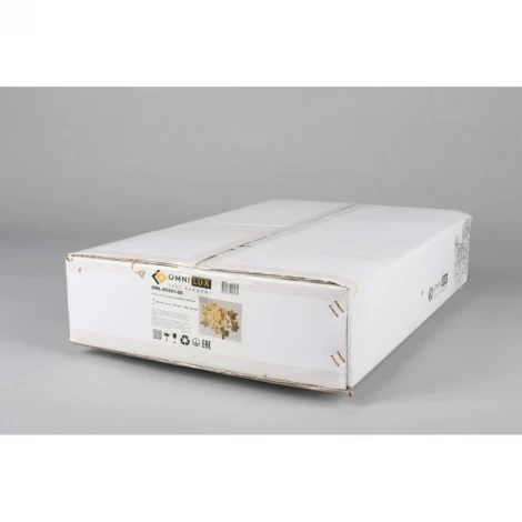 Бра Omnilux 855 OML-85501-05