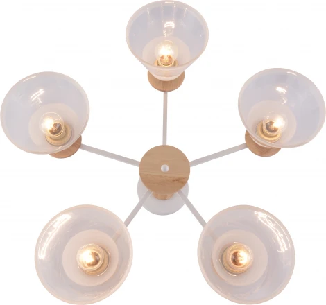 Потолочная люстра на штанге Rivoli Theothila 9177-305 (220V)