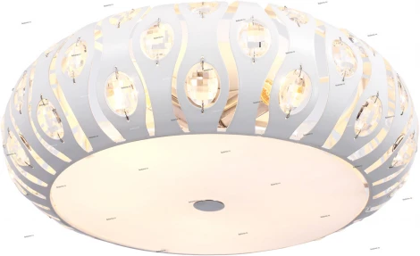 Потолочный светильник ST Luce Calma SL793.502.05