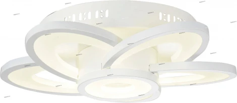Потолочный светильник уличный ST Luce Petalo SL909.102.06