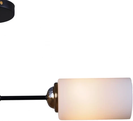 Потолочная люстра на штанге Reluce 32348-0.3-02 (220V)