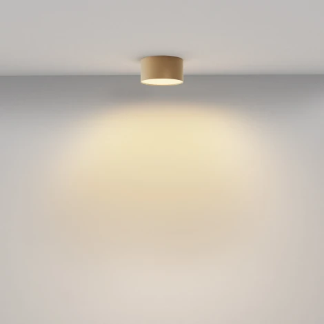 Потолочный светильник круглый Maytoni Zon C032CL-12W2.7K-RD-MG (LED, 220V, круглые)