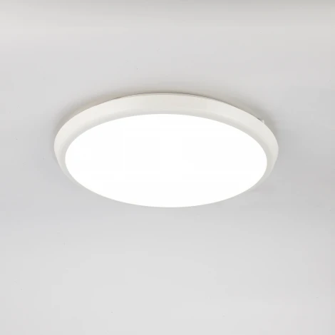 Потолочный светильник уличный Mantra Aneto 6486