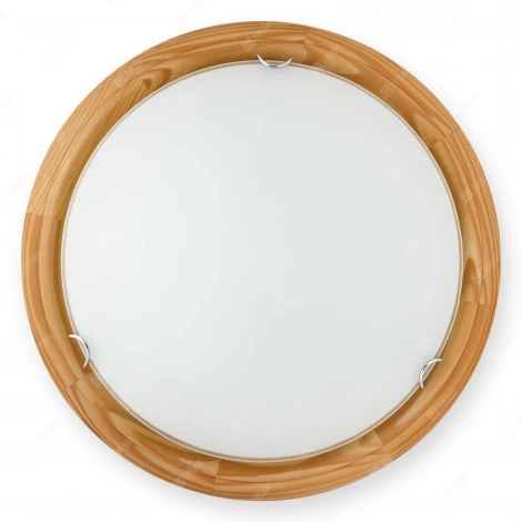 Настенно-потолочный светильник Toplight Hillary TL9023Y-02PN