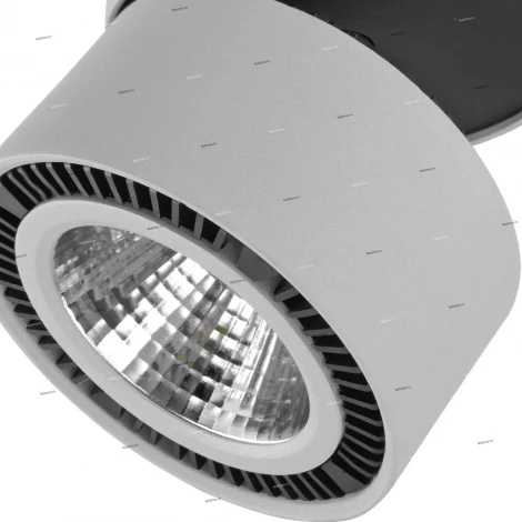 Накладной точечный светильник Lightstar FORTE INCA 214829 (LED, 220V)