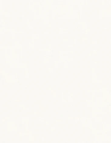 Обои виниловые Marburg New Spirit 32747 10,05 x 0,53 м