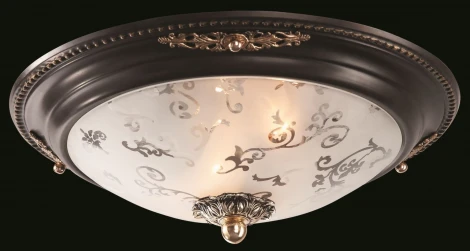 Потолочный светильник Maytoni Diametrik C907-CL-02-R