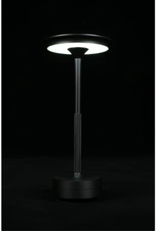 Настольная лампа светодиодная Aployt Markel APL.064.24.05 (220V)