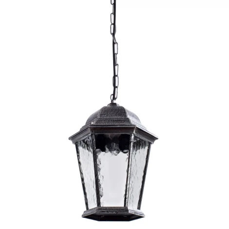 Уличный светильник подвесной Arte Lamp Genova A1205SO-1BS