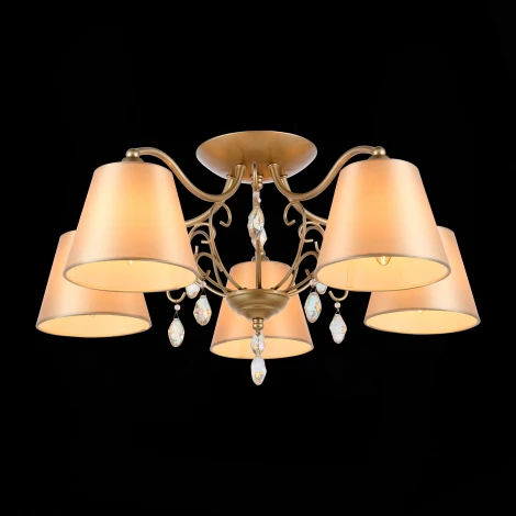 Потолочная люстра ST Luce Rimonio SL1135.102.05