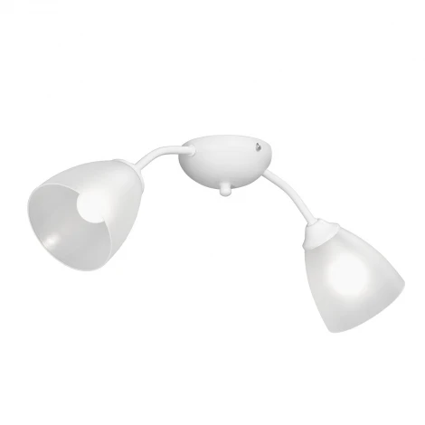 Потолочная люстра Vitaluce V3737-0/2PL (220V)