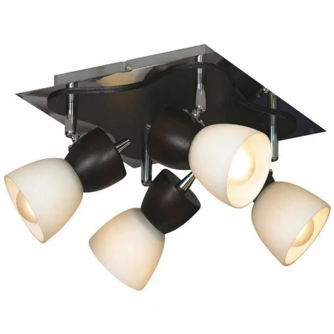 Потолочный светильник Lussole Messina LSL-8201-04