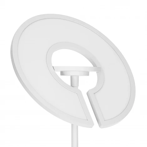 Торшер светодиодный Citilux Loong CL810030 RGB Белый