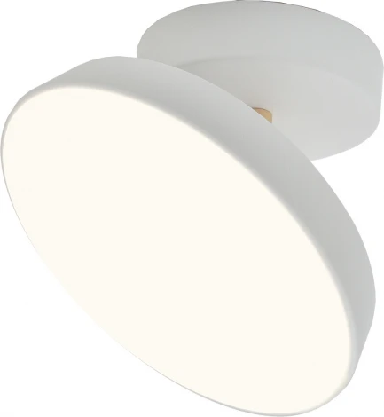 Потолочный светодиодный светильник Escada 20023LED 20023SMA/01LED WH 14Вт, металл/акрил, белый