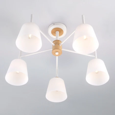 Потолочная люстра Eurosvet Fresco 70085/5 белый (220V)