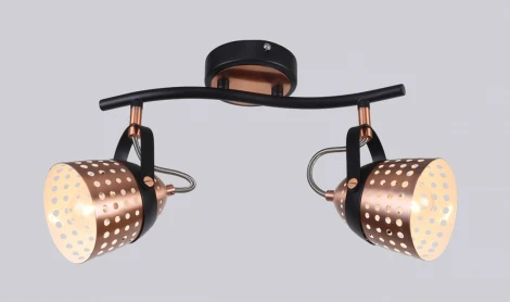 Спот на штанге Escada 1138/2A (220V)