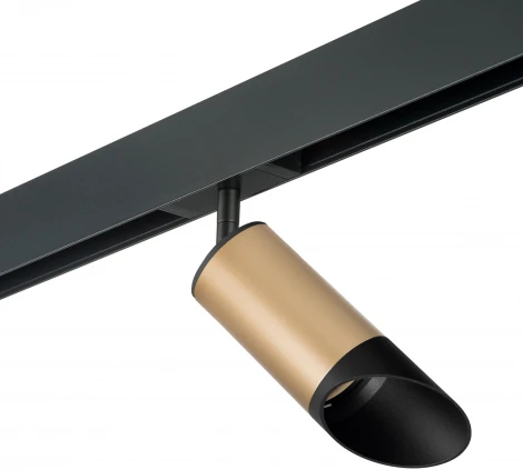 Трековый светильник однофазный 220V Lightstar Rullo PRO44037 (круглые)