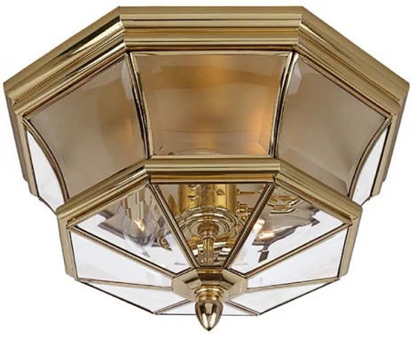 Потолочный уличный светильник IP44 Natural Concepts Newbury QZ-NEWBURY-F-PB (220V, круглые)