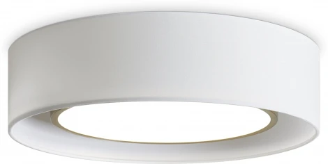 Потолочный светильник круглый Freya Cozy FR6170CL-L52BS (LED, 220V, круглые)