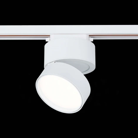 Трековый светильник ST Luce St651 ST651.546.14 (LED, 220V, круглые)