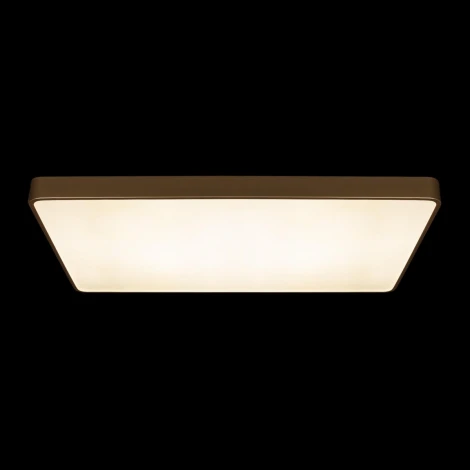 Потолочные светильники Loft It Flims 10228/E (LED, 220V)