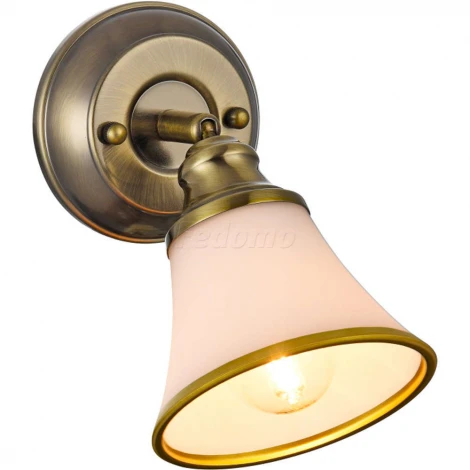 Спот Freya Jasinta FR2272-WL-01-BS (220V, круглые)