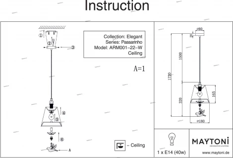Подвесной светильник Maytoni Passarinho ARM001-22-W