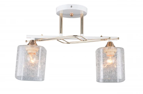 Потолочная люстра J-Light Mony 1076/2C