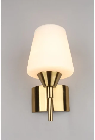 Бра Aployt Lyus APL.840.01.01 (220V)