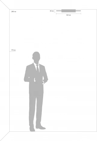 Потолочная люстра Freya Cosmic FR10015CL-L62B