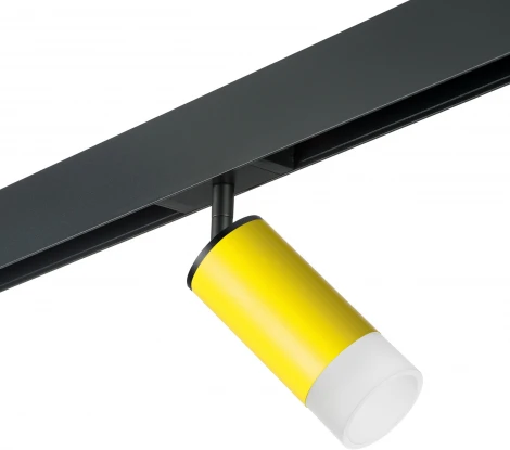 Трековый светильник однофазный 220V Lightstar Rullo PRO43331 (круглые)