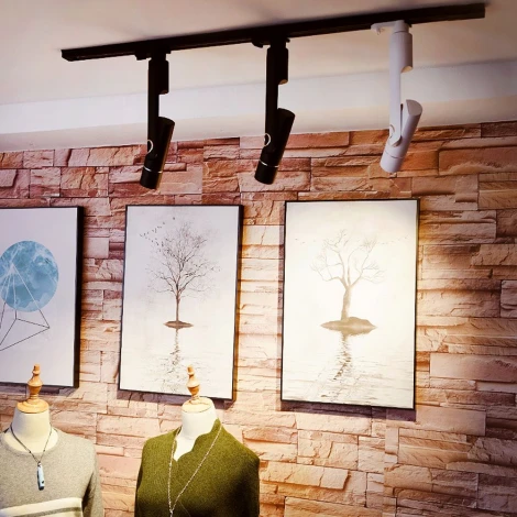 Накладной точечный светильник Arte Lamp Vela A2511PL-1BK (LED, 220V)