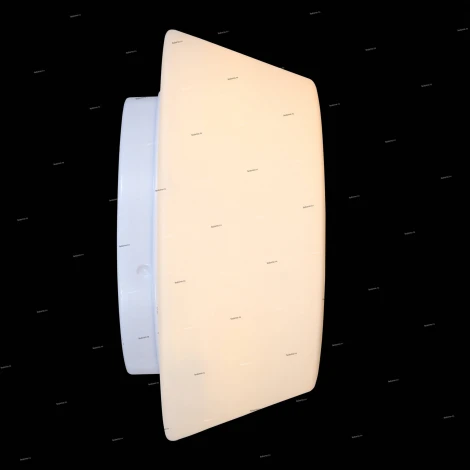 Потолочный светильник ST Luce Adatto SL296.502.02