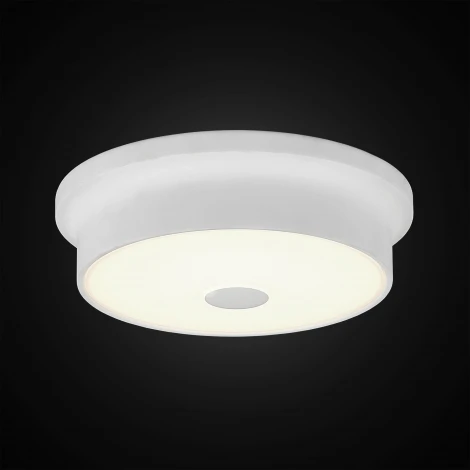 Настенно-потолочный светильник Citilux Фостер-2 CL706210