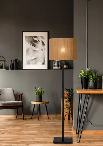 Торшер с выключателем Magius 03729/81/30 (220V)