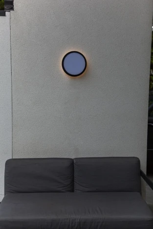 Потолочный светильник уличный светодиодный Oasis Light SIDNEY LED W2058 Bl (220V, круглые, IP44)