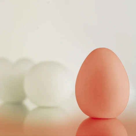 Интерьерная настольная лампа Paulmann Egg 3690